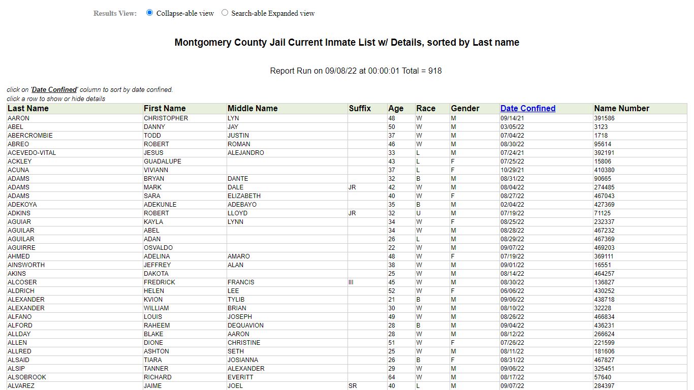 Jail Roster